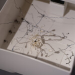 38 梅田マサノリ